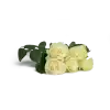 Kytice růží